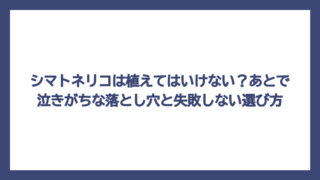 シマトネリコは植えてはいけない？あとで泣きがちな落とし穴と失敗しない選び方
