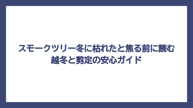 スモークツリー冬に枯れたと焦る前に読む越冬と剪定の安心ガイド