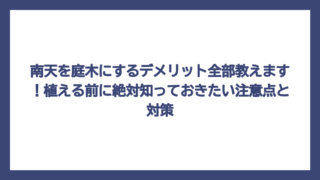 南天を庭木にするデメリット全部教えます！植える前に絶対知っておきたい注意点と対策