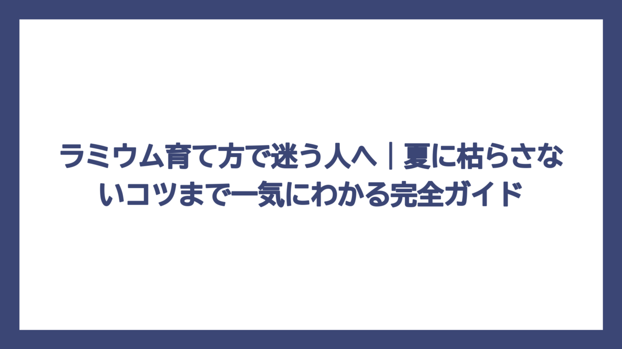 ラミウム育て方で迷う人へ｜夏に枯らさないコツまで一気にわかる完全ガイド