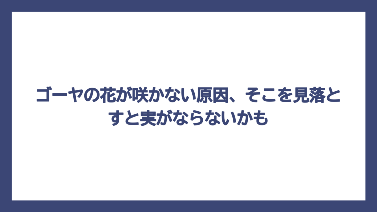 ゴーヤの花が咲かない原因、そこを見落とすと実がならないかも