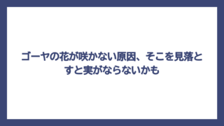 ゴーヤの花が咲かない原因、そこを見落とすと実がならないかも