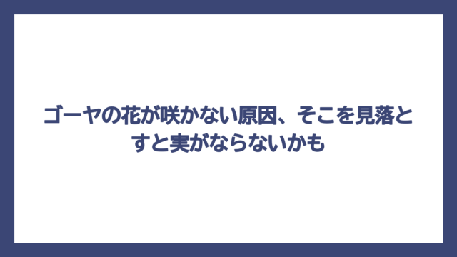ゴーヤの花が咲かない原因、そこを見落とすと実がならないかも