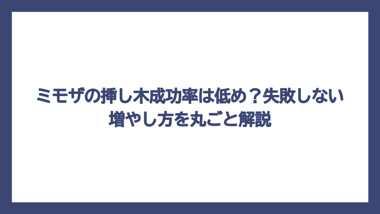 ミモザの挿し木成功率は低め？失敗しない増やし方を丸ごと解説
