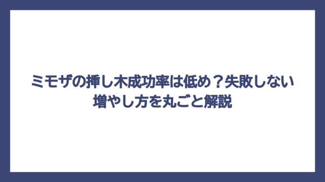 ミモザの挿し木成功率は低め？失敗しない増やし方を丸ごと解説