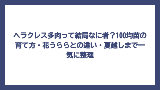 ヘラクレス多肉って結局なに者？100均苗の育て方・花うららとの違い・夏越しまで一気に整理