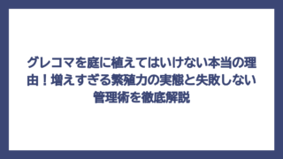 グレコマを庭に植えてはいけない本当の理由！増えすぎる繁殖力の実態と失敗しない管理術を徹底解説