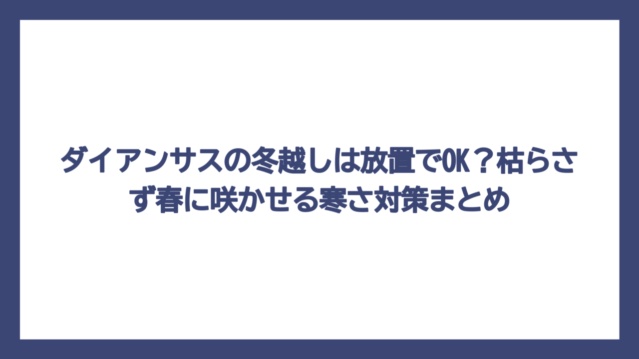 ダイアンサスの冬越しは放置でOK？枯らさず春に咲かせる寒さ対策まとめ