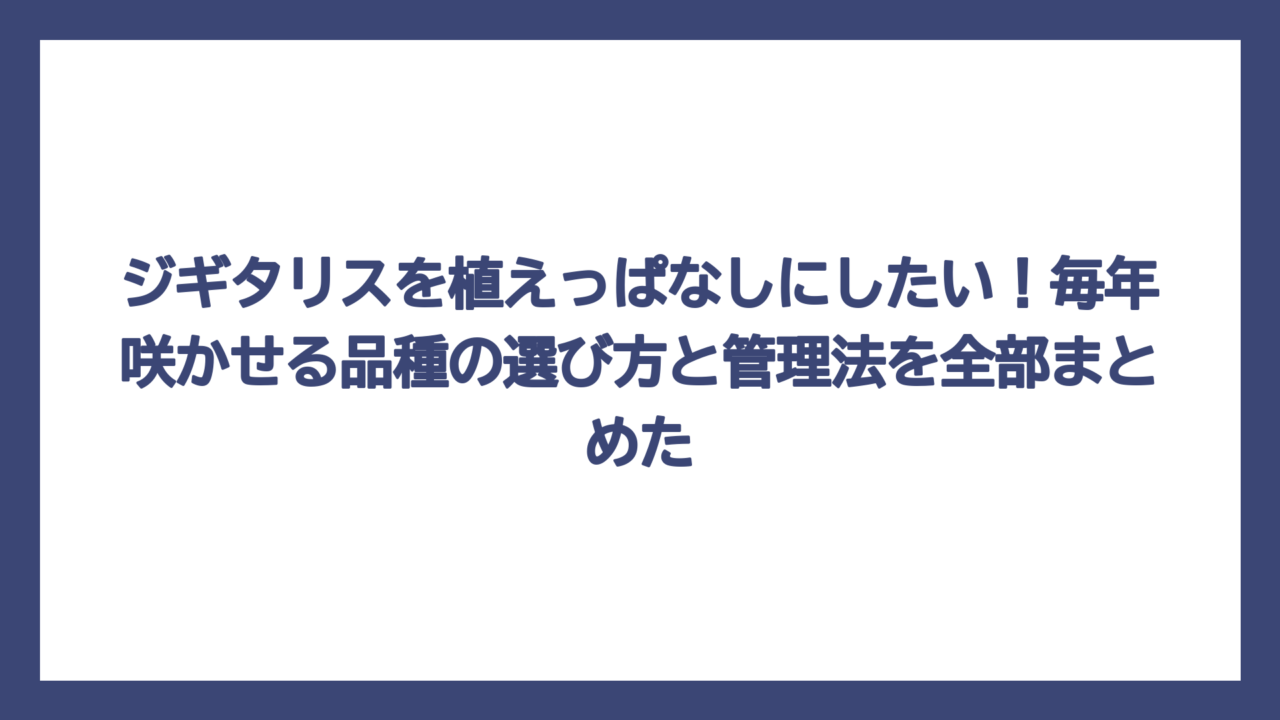 ジギタリスを植えっぱなしにしたい！毎年咲かせる品種の選び方と管理法を全部まとめた
