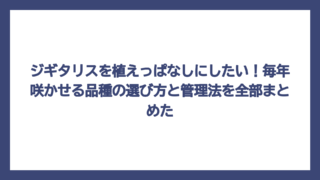 ジギタリスを植えっぱなしにしたい！毎年咲かせる品種の選び方と管理法を全部まとめた