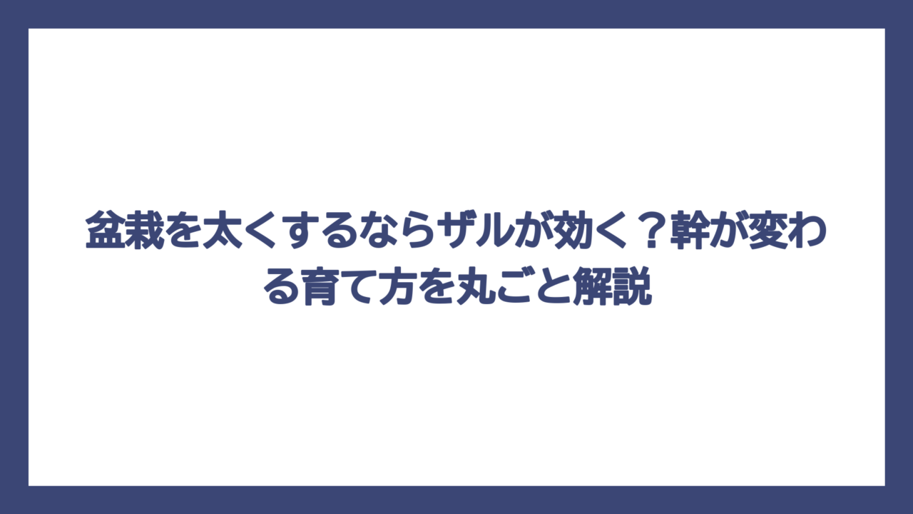 盆栽を太くするならザルが効く？幹が変わる育て方を丸ごと解説
