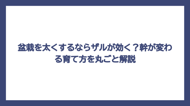 盆栽を太くするならザルが効く？幹が変わる育て方を丸ごと解説
