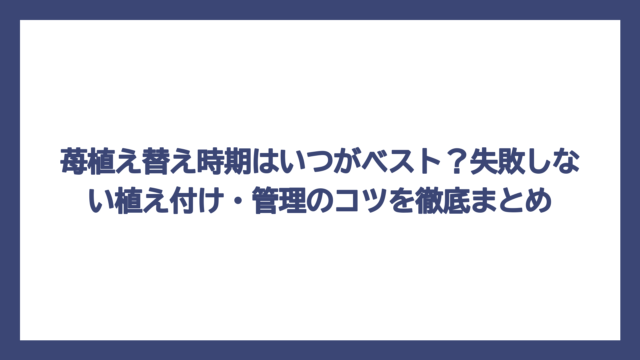 苺植え替え時期はいつがベスト？失敗しない植え付け・管理のコツを徹底まとめ