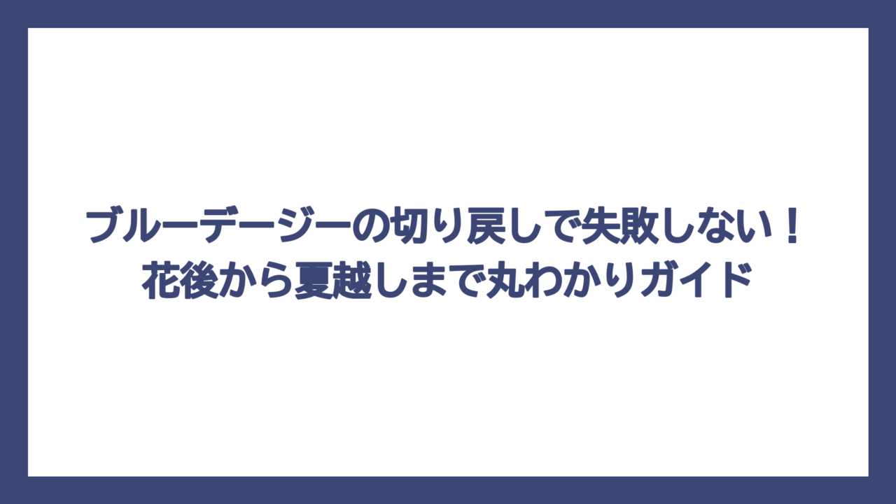 ブルーデージーの切り戻しで失敗しない！花後から夏越しまで丸わかりガイド