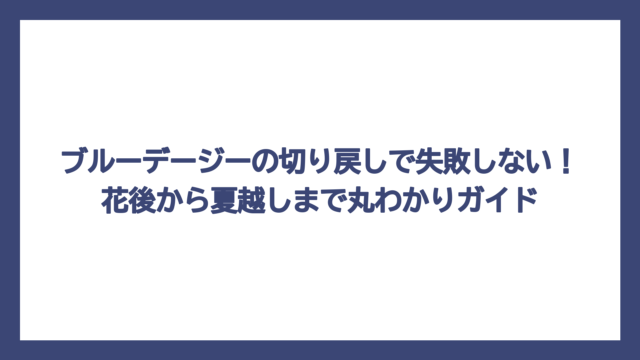 ブルーデージーの切り戻しで失敗しない！花後から夏越しまで丸わかりガイド