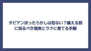 タピアンほったらかしは危ない？植える前に知るべき現実とラクに育てる手順