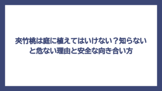 夾竹桃は庭に植えてはいけない？知らないと危ない理由と安全な向き合い方