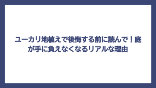 ユーカリ地植えで後悔する前に読んで！庭が手に負えなくなるリアルな理由