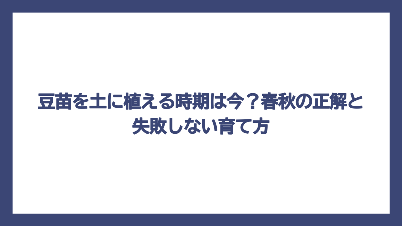 豆苗を土に植える時期は今？春秋の正解と失敗しない育て方