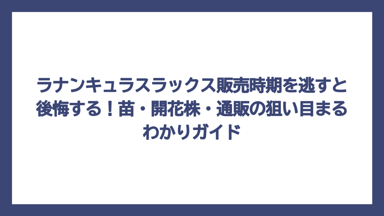 ラナンキュラスラックス販売時期を逃すと後悔する！苗・開花株・通販の狙い目まるわかりガイド
