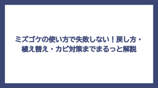 ミズゴケの使い方で失敗しない！戻し方・植え替え・カビ対策までまるっと解説