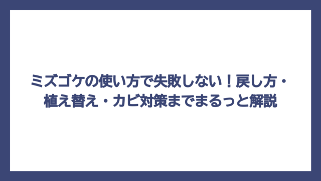 ミズゴケの使い方で失敗しない！戻し方・植え替え・カビ対策までまるっと解説