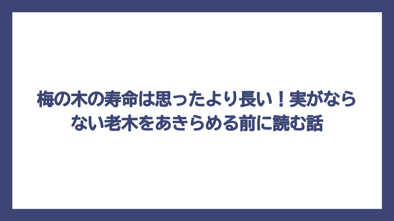 梅の木の寿命は思ったより長い！実がならない老木をあきらめる前に読む話
