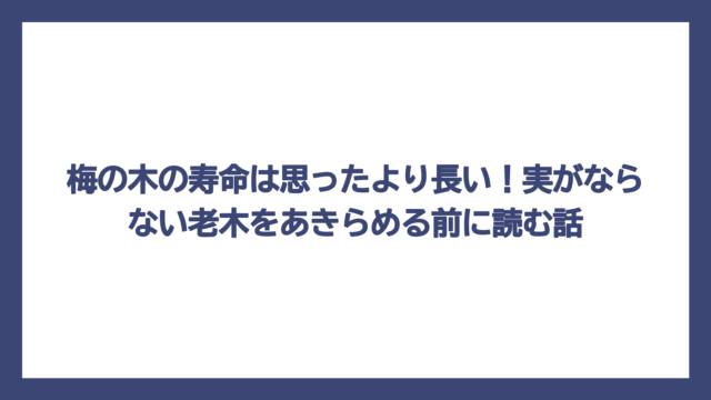 梅の木の寿命は思ったより長い！実がならない老木をあきらめる前に読む話