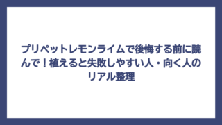 プリペットレモンライムで後悔する前に読んで！植えると失敗しやすい人・向く人のリアル整理