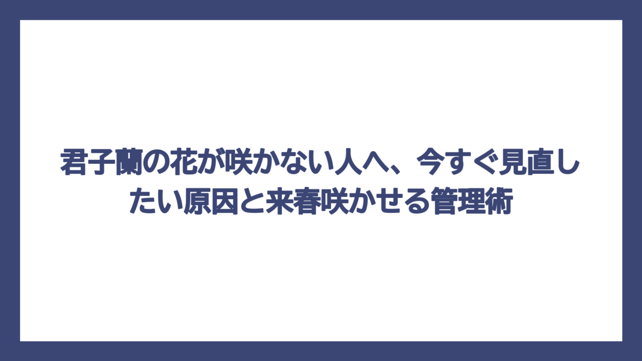 君子蘭の花が咲かない人へ、今すぐ見直したい原因と来春咲かせる管理術