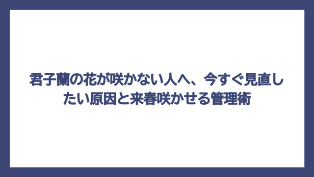 君子蘭の花が咲かない人へ、今すぐ見直したい原因と来春咲かせる管理術