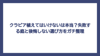クラピア植えてはいけないは本当？失敗する庭と後悔しない選び方をガチ整理
