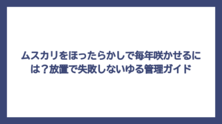 ムスカリをほったらかしで毎年咲かせるには？放置で失敗しないゆる管理ガイド