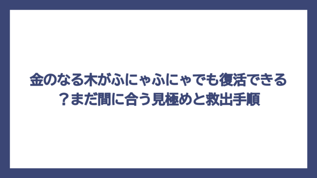 金のなる木がふにゃふにゃでも復活できる？まだ間に合う見極めと救出手順