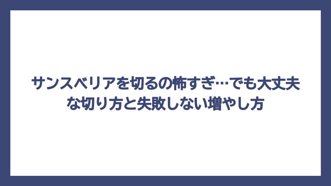 サンスベリアを切るの怖すぎ…でも大丈夫な切り方と失敗しない増やし方