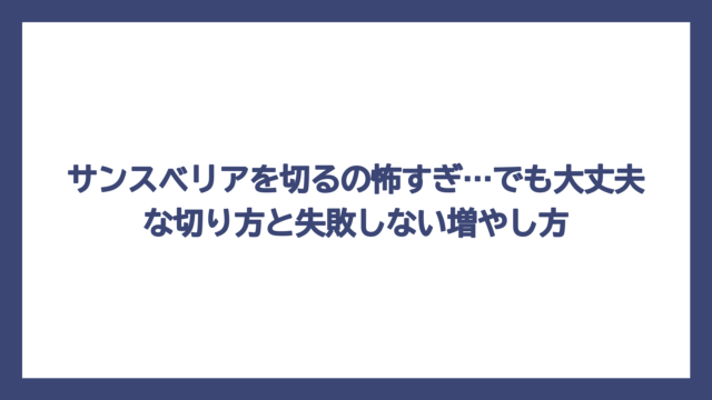 サンスベリアを切るの怖すぎ…でも大丈夫な切り方と失敗しない増やし方