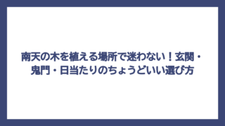南天の木を植える場所で迷わない！玄関・鬼門・日当たりのちょうどいい選び方
