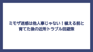 ミモザ迷惑は他人事じゃない！植える前と育てた後の近所トラブル回避策