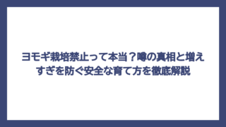 ヨモギ栽培禁止って本当？噂の真相と増えすぎを防ぐ安全な育て方を徹底解説