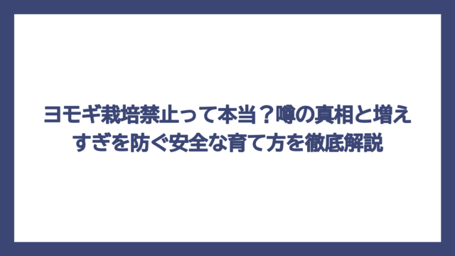 ヨモギ栽培禁止って本当？噂の真相と増えすぎを防ぐ安全な育て方を徹底解説