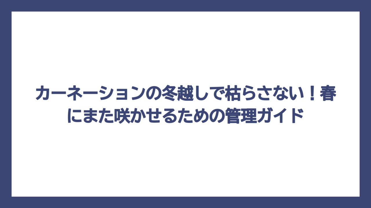 カーネーションの冬越しで枯らさない！春にまた咲かせるための管理ガイド
