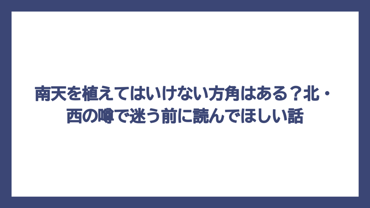 南天を植えてはいけない方角はある？北・西の噂で迷う前に読んでほしい話