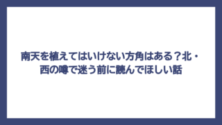 南天を植えてはいけない方角はある？北・西の噂で迷う前に読んでほしい話