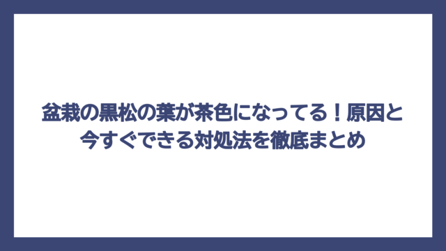 盆栽の黒松の葉が茶色になってる！原因と今すぐできる対処法を徹底まとめ