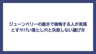 ジューンベリーの庭木で後悔する人が見落とすヤバい落とし穴と失敗しない選び方