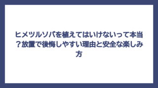 ヒメツルソバを植えてはいけないって本当？放置で後悔しやすい理由と安全な楽しみ方