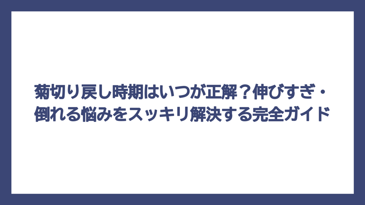菊切り戻し時期はいつが正解？伸びすぎ・倒れる悩みをスッキリ解決する完全ガイド