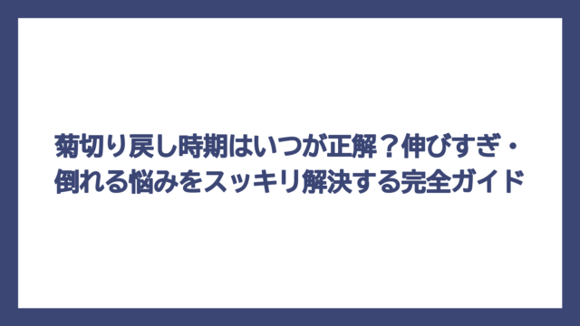 菊切り戻し時期はいつが正解？伸びすぎ・倒れる悩みをスッキリ解決する完全ガイド