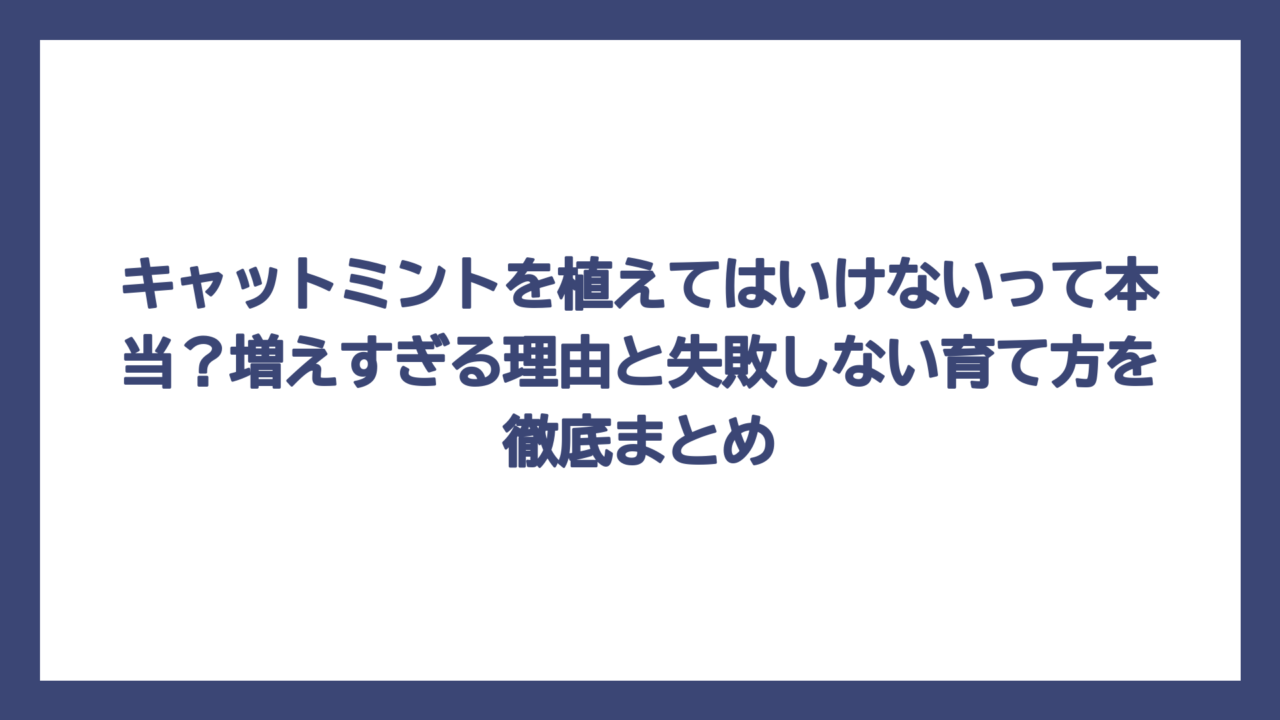キャットミントを植えてはいけないって本当？増えすぎる理由と失敗しない育て方を徹底まとめ