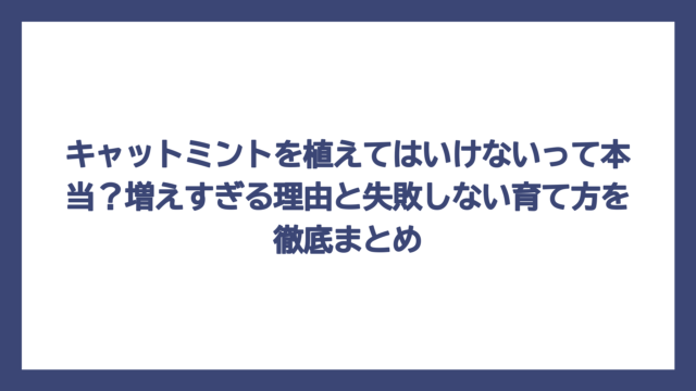 キャットミントを植えてはいけないって本当？増えすぎる理由と失敗しない育て方を徹底まとめ